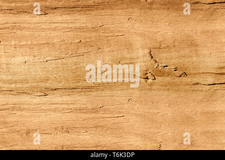 Firewood lot cut showing  textured grain Stock Photo