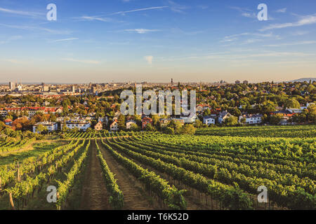 View from vineyards over Nussdorf in Vienna Stock Photo