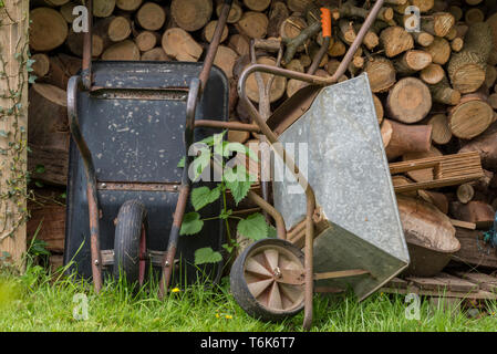 two rusty old fashioned wheelbarrows next to a log pile of firewood in a garden on the grass. Stock Photo