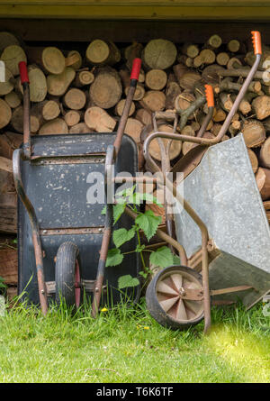 two old wheelbarrows in a garden leaning against a log pile of cut fire wood. Stock Photo