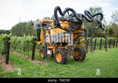 Pellenc self-propelled sprayer with a tank capacity of 2,000 litres is able to spare three rows at a time. Working in a vineyard in The Crouch Valley Stock Photo