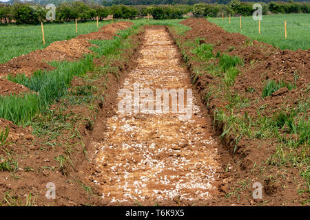 Archaeological test pit trench in arable field Stock Photo