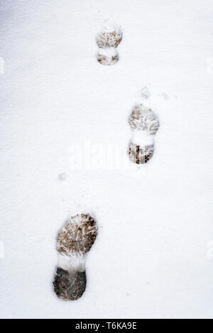 Boot footprints in fresh snow Stock Photo