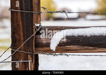 Barbed wire fence in fresh April snowstorm: Vandaveer Ranch; Salida; Colorado; USA Stock Photo