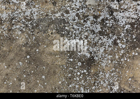old gray stone wall with moss texture Stock Photo