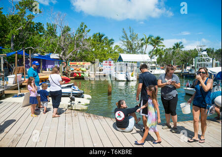 ISLAMADORA, FLORIDA, USA - SEPTEMBER, 2018: Tourists gather on a dock to feed tarpon fish at Robbie’s marina, a popular tourist attraction in the Keys Stock Photo