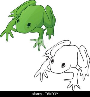 Frog in both full color green tones and black outline version isolated vector illustration Stock Vector