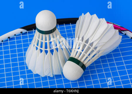 Badminton Game Stock Photos, Images and Backgrounds for Free Download