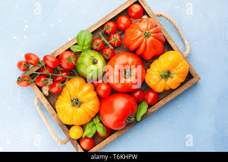 Selection of organic large heirloom and cherry tomatoes in wooden tray on light blue concrete background, top view, selective focus Stock Photo