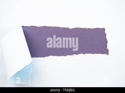 Torn pastel pastel blue paper isolated on purple Stock Photo