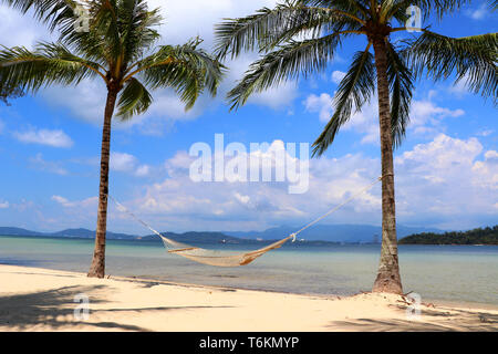 Two palm trees with a hammock on the beach - Gaya Island Malaysia Asia