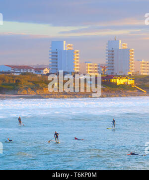 Aerial view of paddle surfing and surfers by Atlantic coast, scenic seascape with Baleal town in sunset light, Portugal Stock Photo