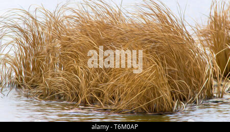 Scenes at Frank Lake Stock Photo