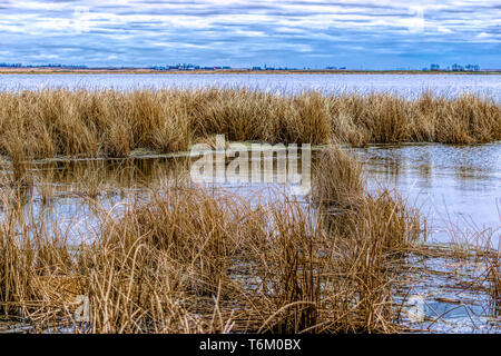 Scenes at Frank Lake Stock Photo