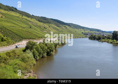 Vineyards along German river Moselle Stock Photo