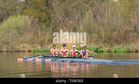 Male rowing team. Rowing is a non-weight bearing sports that exercises ...
