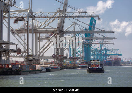 Container terminal with big cranes in Dutch harbor Rotterdam Stock Photo