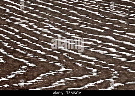 Black Painted Oak Wood Texture Stock Photo