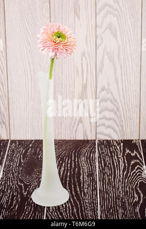 Pink Gerbera Daisy In Vase Stock Photo
