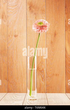 Pink Gerbera Daisy In Vase Stock Photo