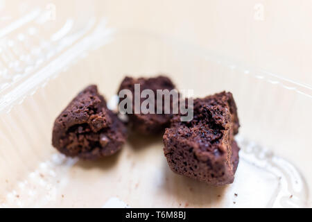 Closeup of baked brownie chocolate cake piece slice or bread in plastic container storebought dessert with crumbles Stock Photo
