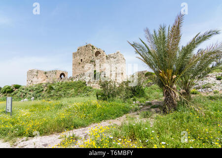 Byblos Crusader castle, Jbeil, Lebanon Stock Photo