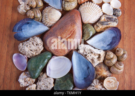 Beautiful decoration of colorful stones and shells Stock Photo