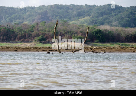 Drought is affecting Lake Alajuela and Chagres River which supplies most of the water needed to operate the Panama. Stock Photo