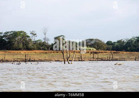 Drought is affecting Lake Alajuela and Chagres River which supplies most of the water needed to operate the Panama. Stock Photo