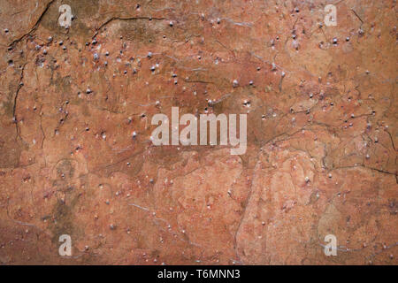 Stone texture background, natural surface, Closeup granite background, Rock texture background, Marble texture background Stock Photo
