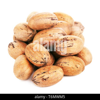 Pecan Nuts In A Shell Stock Photo