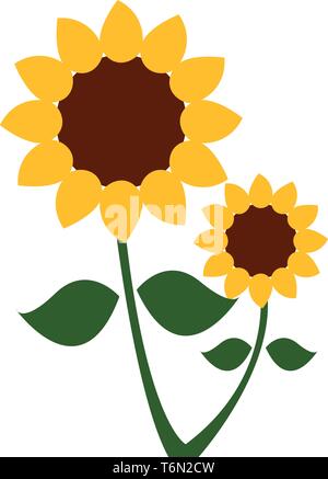 A sunflower plant with two flower heads  bright yellow ray florets at the outside and brown disc florets inside  vector  color drawing or illustration Stock Vector