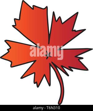 A fresh fallen big maple leaf which is orange in colour vector color drawing or illustration Stock Vector