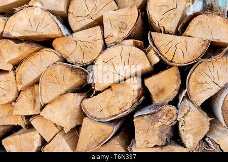 Birch logs lying on the ground. Top and side view. Stock Photo