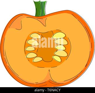 A big pumpkin cut into two halves which had lot of seeds in it vector color drawing or illustration Stock Vector