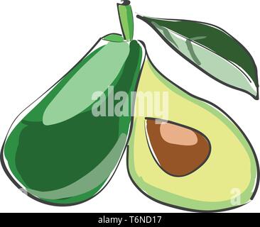 A small sliced avocado with green leaves vector color drawing or illustration Stock Vector