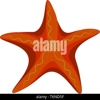 A big starfish in orange and yellow color vector color drawing or illustration Stock Vector