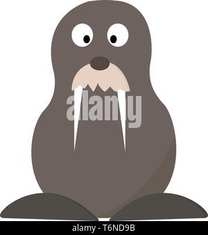 A grey walrus with two long teeth sitting on the shore vector color drawing or illustration Stock Vector