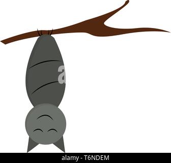 A laughing cartoon grey-colored bat with its eyes closed while hanging upside down in the branch of a tree and has an oval-shaped body  vector  color  Stock Vector
