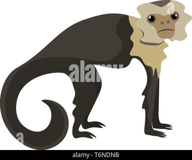 Drawing of a brown capuchin monkey with hindlimbs and forelimbs stand on the surface and has a grey head  vector  color drawing or illustration Stock Vector