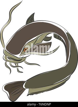Catfish Swimming Vector Illustration Stock Vector Image & Art - Alamy