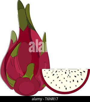 Clipart of the whole dragon fruit red in color with a short stout green stalk lies closer to the half-cut fruit that exposes the black seeds  vector Stock Vector