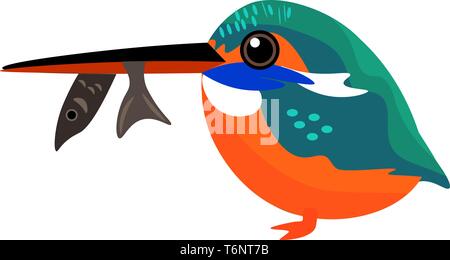 Painting of a kingfisher with round and orange body  a colorful plumage  and a fish trapped in its long beak  vector  color drawing or illustration Stock Vector