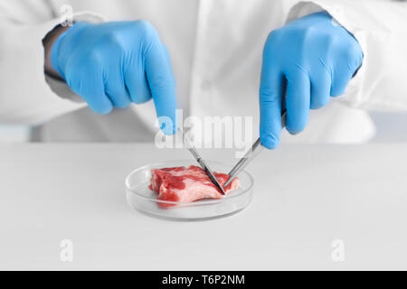 Scientist examining meat sample in laboratory Stock Photo