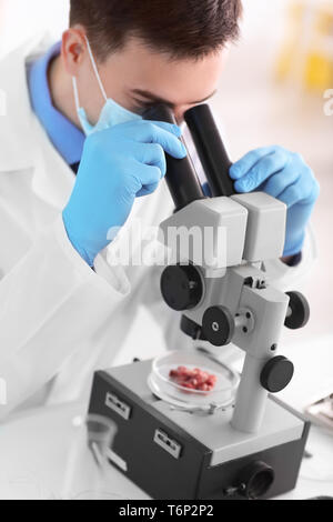 Scientist using microscope for examining meat sample in laboratory Stock Photo