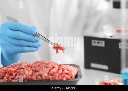 Scientist examining forcemeat in laboratory Stock Photo