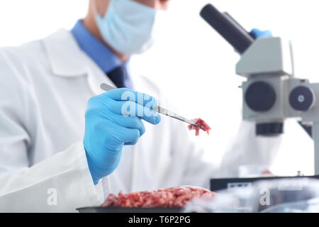 Scientist examining forcemeat in laboratory Stock Photo