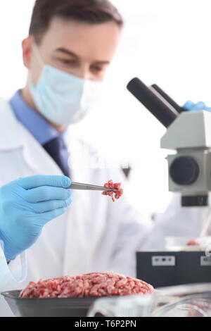 Scientist examining forcemeat in laboratory Stock Photo