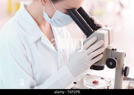 Scientist using microscope for examining meat sample in laboratory Stock Photo