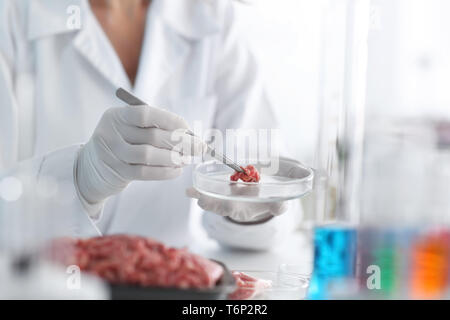 Scientist examining forcemeat in laboratory Stock Photo
